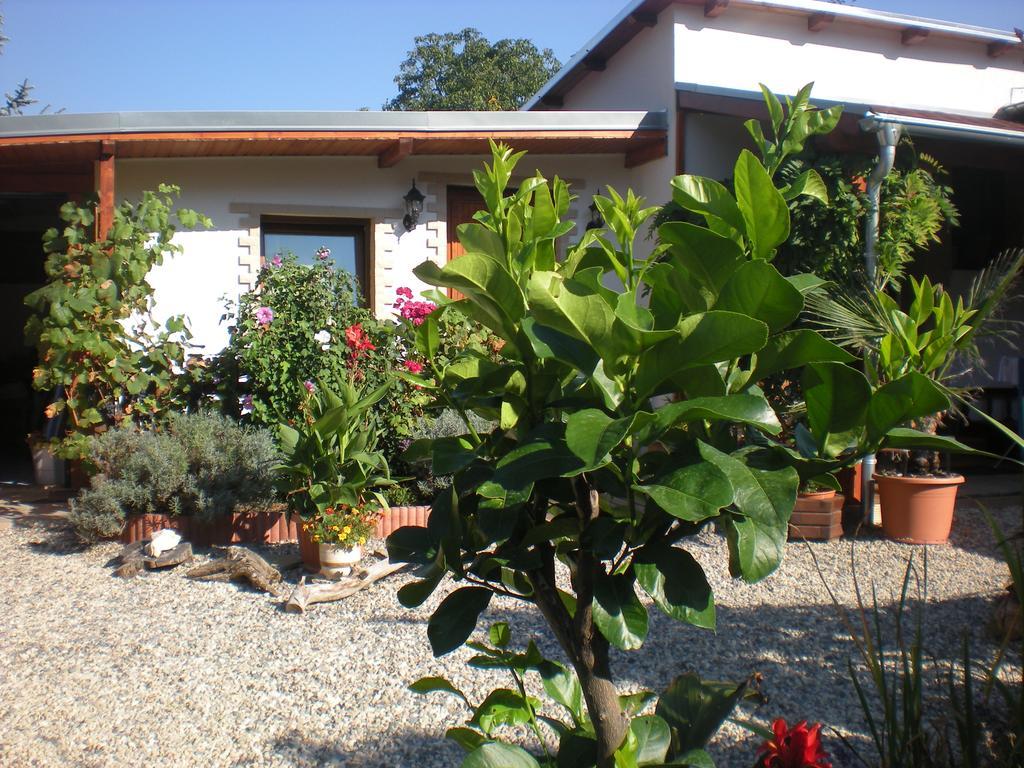 Sophia Cozy Self Catering Apartment Dolni Brezany Ngoại thất bức ảnh