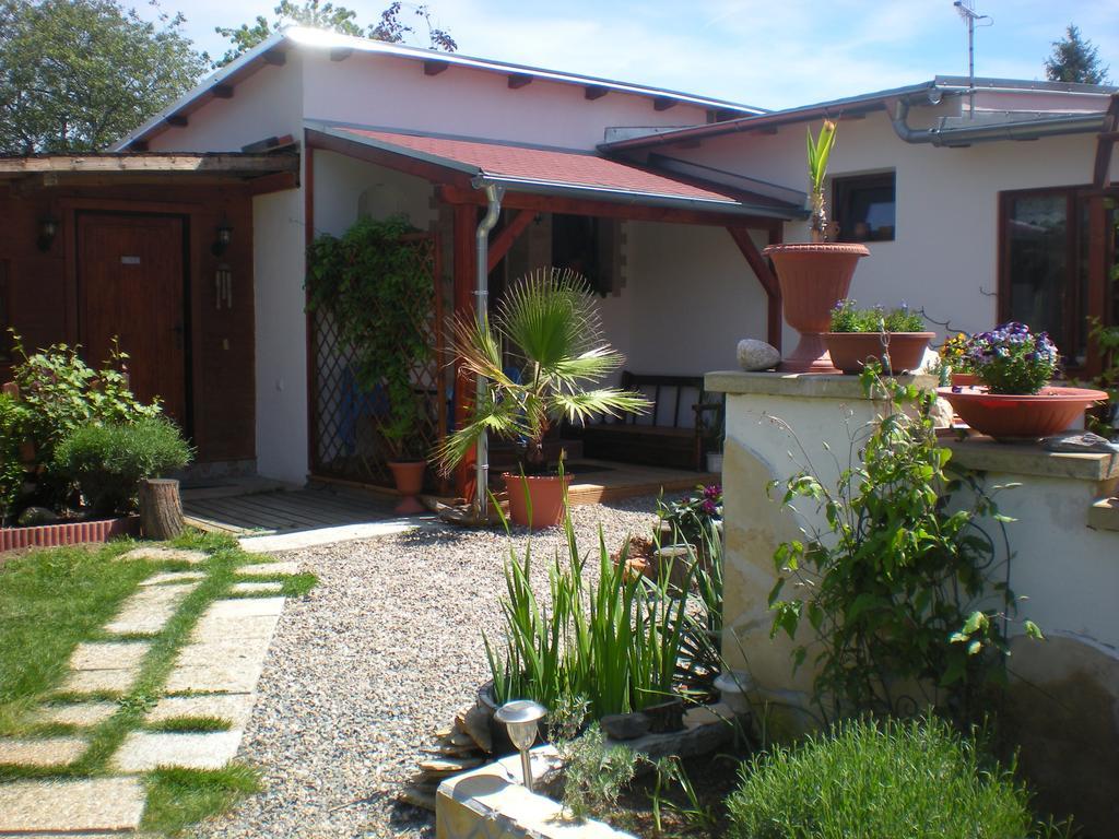 Sophia Cozy Self Catering Apartment Dolni Brezany Ngoại thất bức ảnh